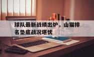 金年会体育-球队最新战绩出炉，山猫排名垫底战况堪忧